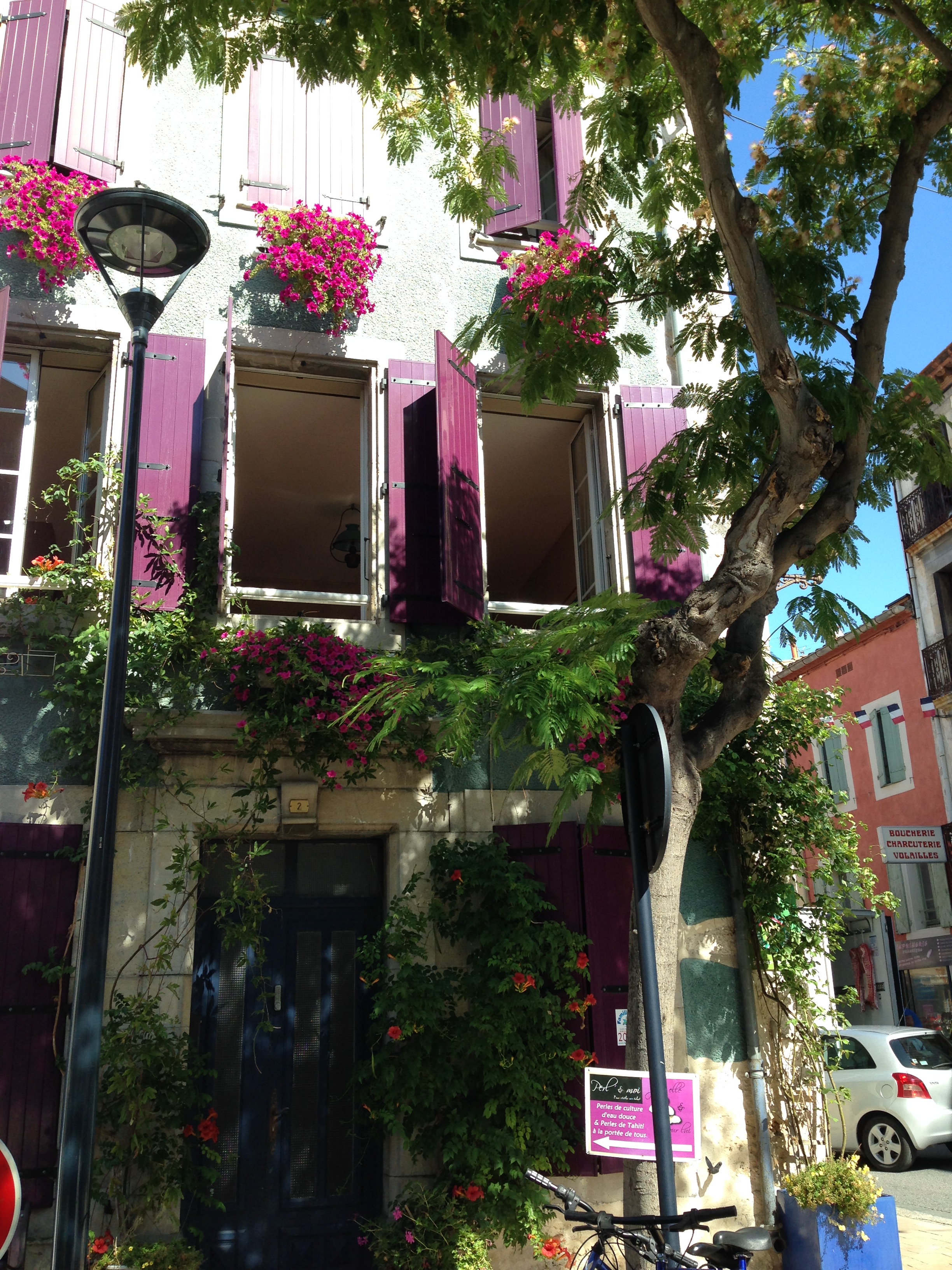 fin juillet début aout 2015 083