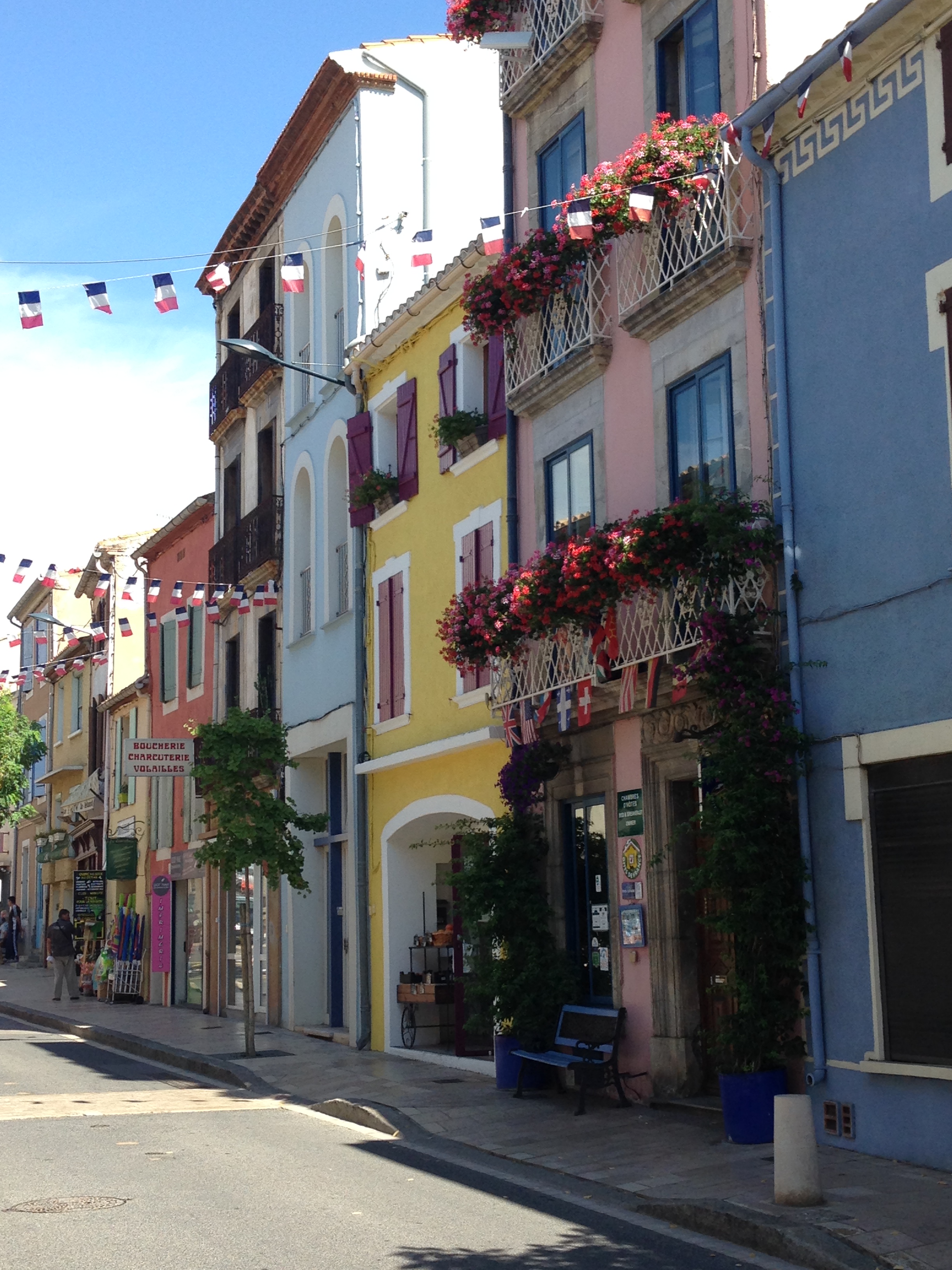 fin juillet début aout 2015 090