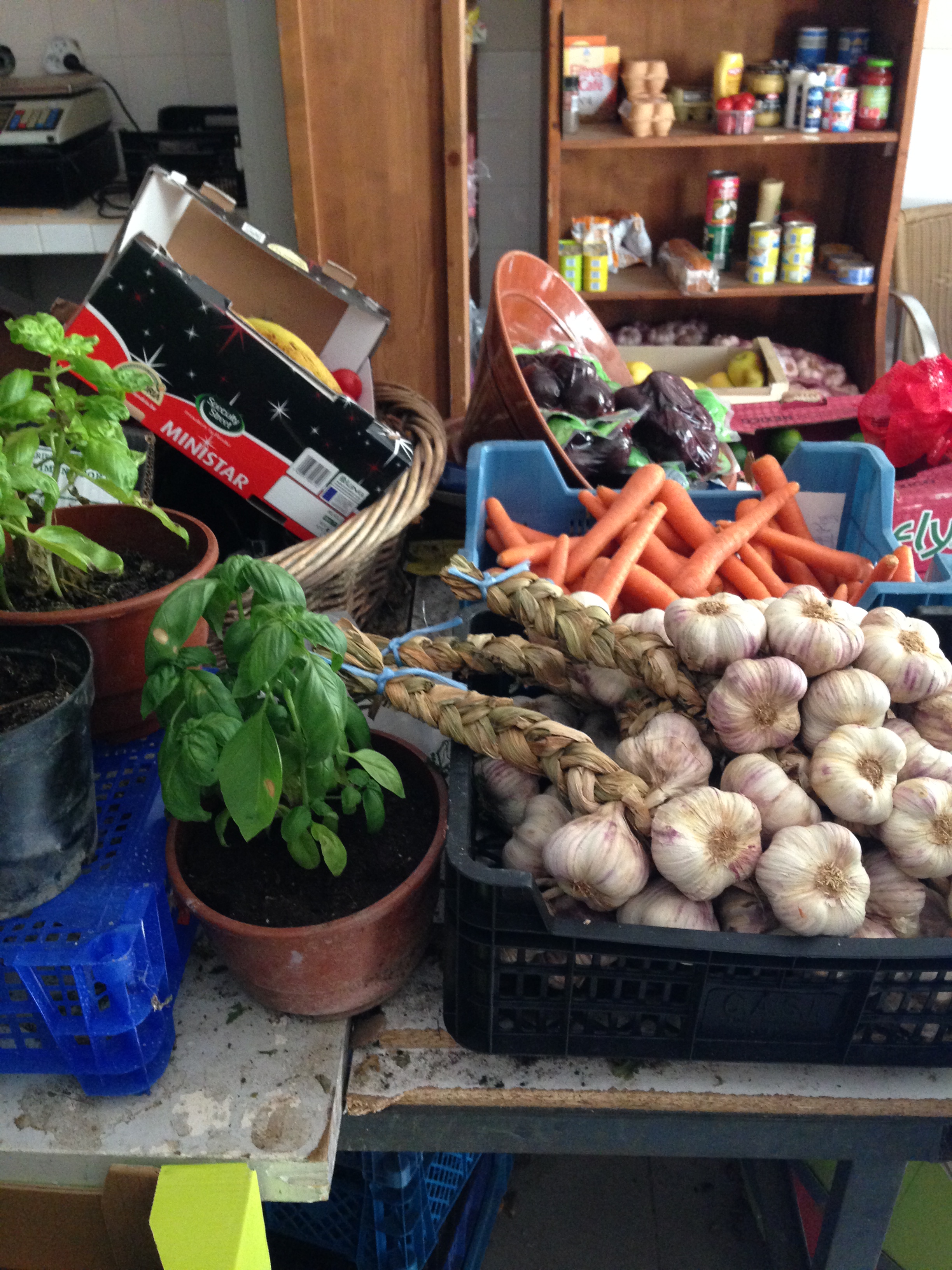 fin juillet début aout 2015 097