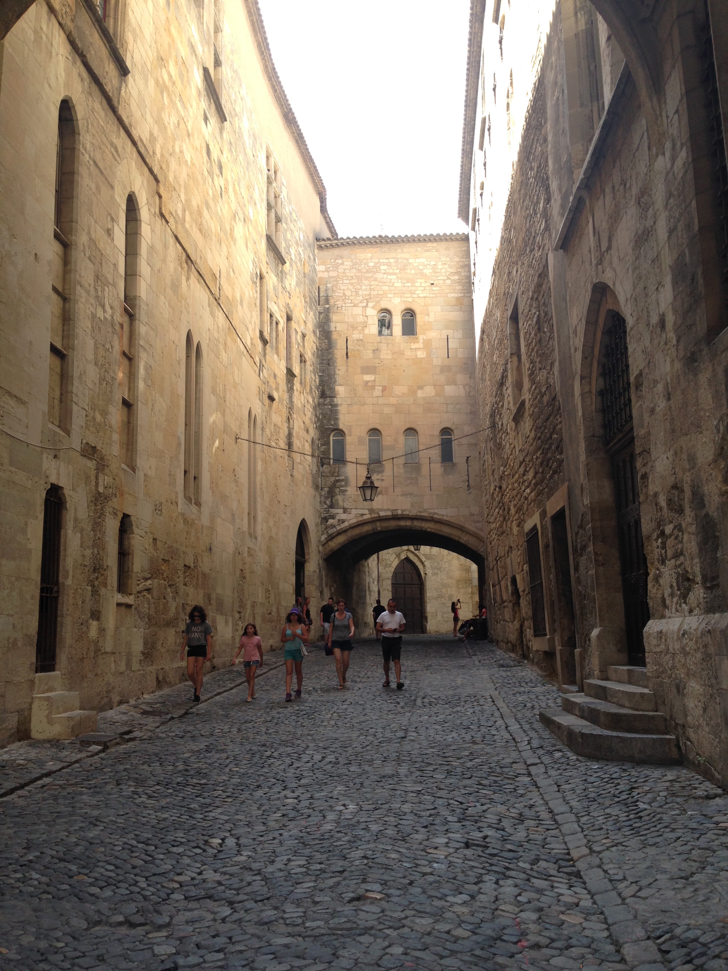 fin juillet début aout 2015 293