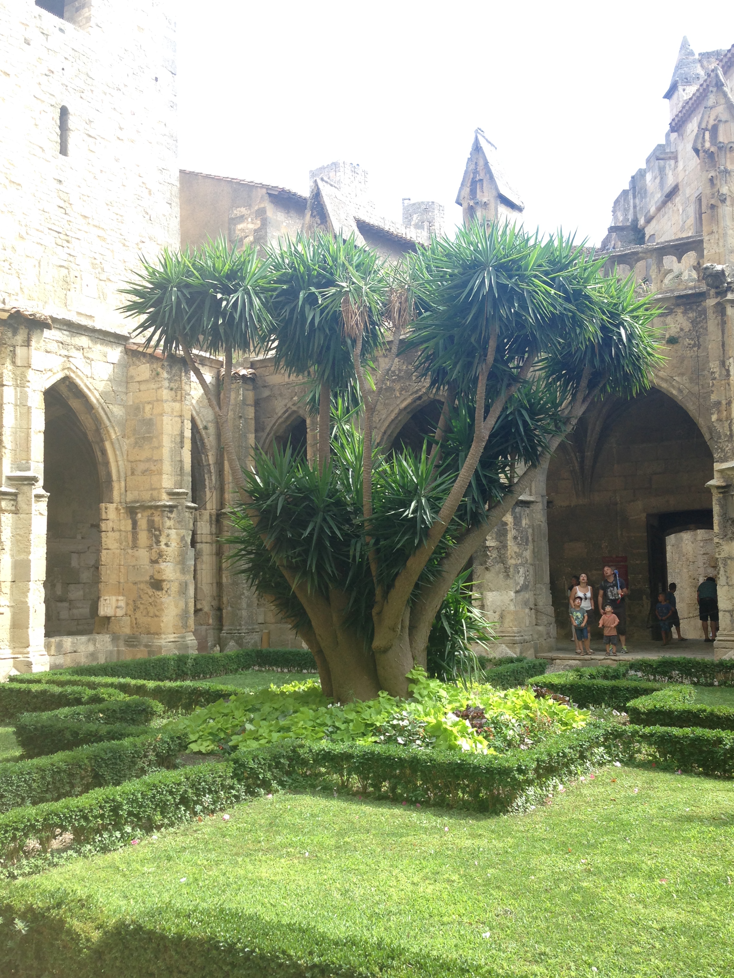 fin juillet début aout 2015 301