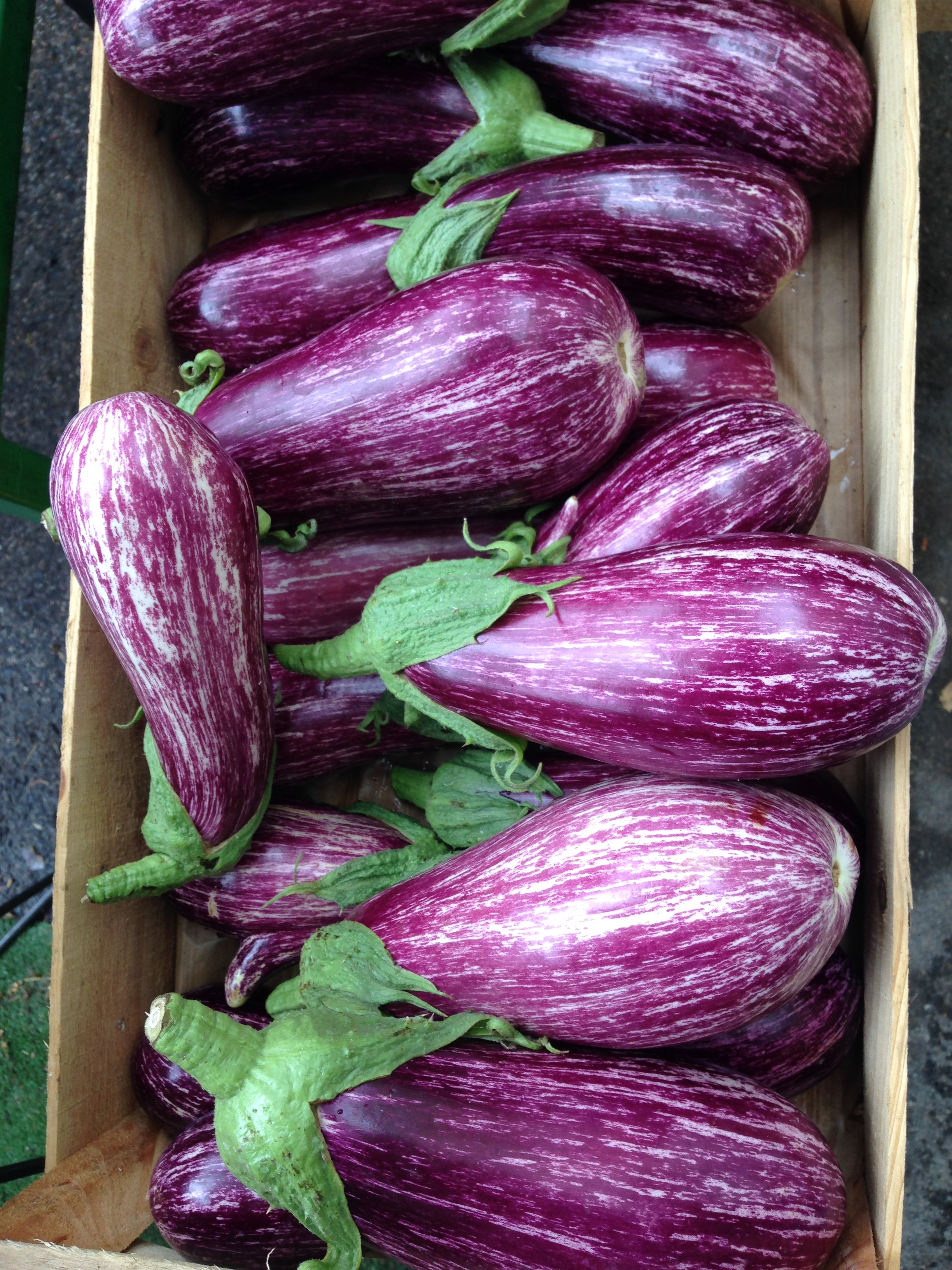 iphone fin from mi aout 2015 030