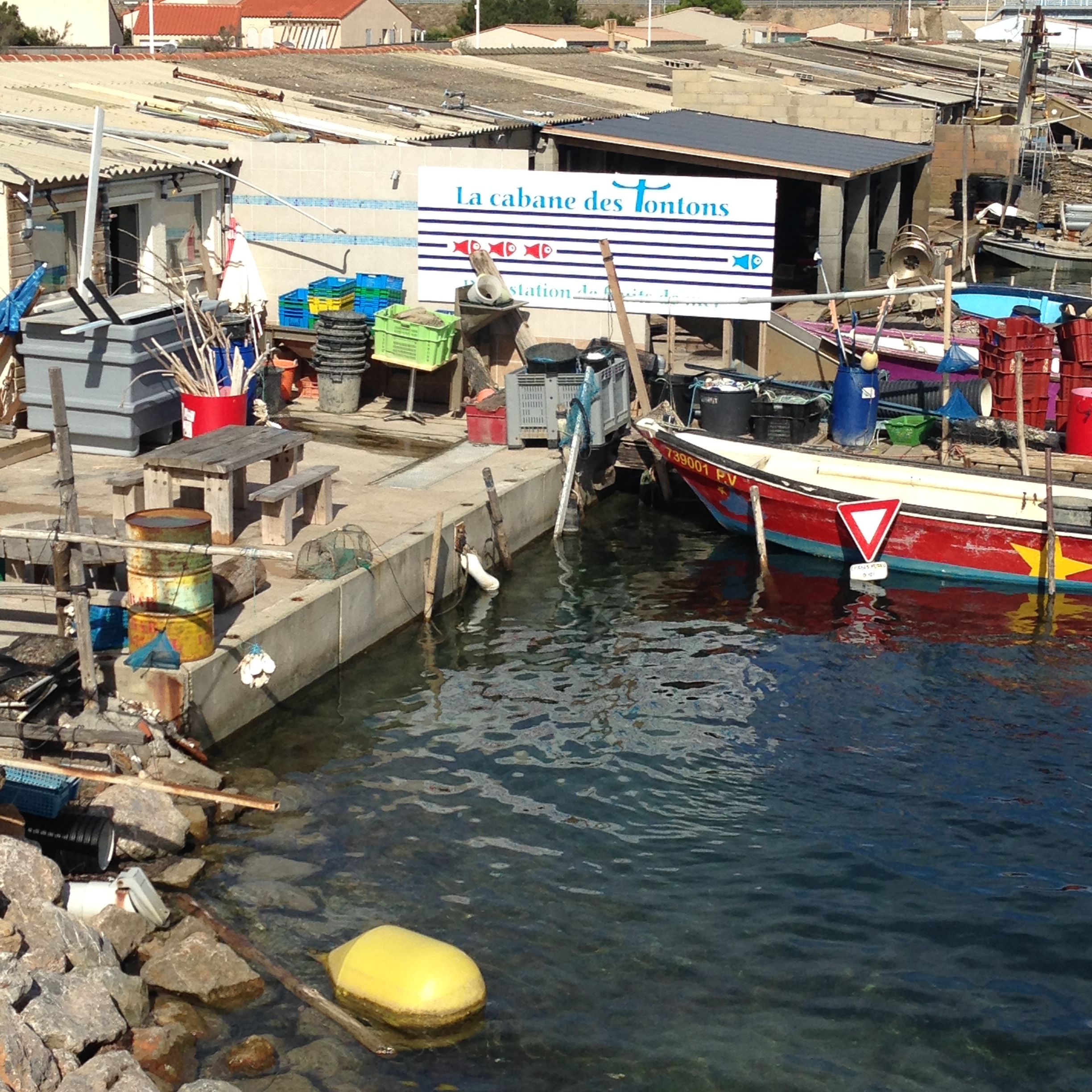 iphone fin from mi aout 2015 108